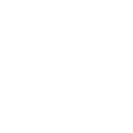 WSS Procurement Logo